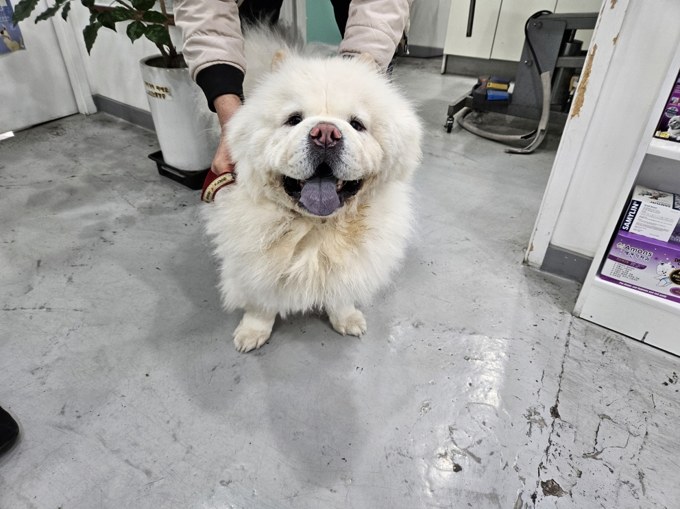남산동물병원_411302202400142